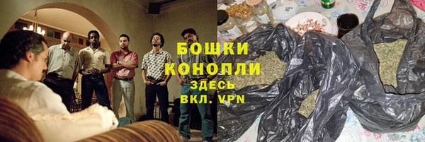 PSILOCYBIN Медногорск