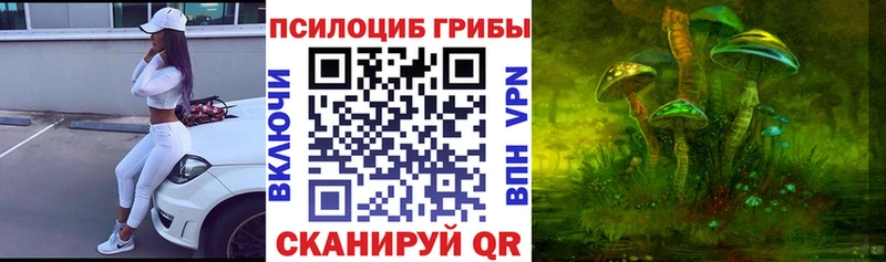 купить цена Сольцы Галлюциногенные грибы мицелий